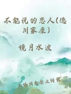 不能說的戀人(德川家康)